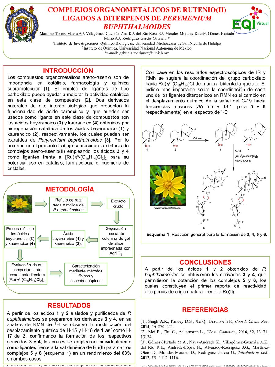 alejandramtzt's tweet photo. Buenos días @EQInorganica #EQIVirtual2021 es un gusto presentar el trabajo <<COMPLEJOS ORGANOMETÁLICOS DE RUTENIO(II) LIGADOS A DITERPENOS DE PERYMENIUM BUPHTHALMOIDES >> #QuimicaCoordinación #PQC12 #UMSNH #IIQB https://t.co/lkc3P2syKY
