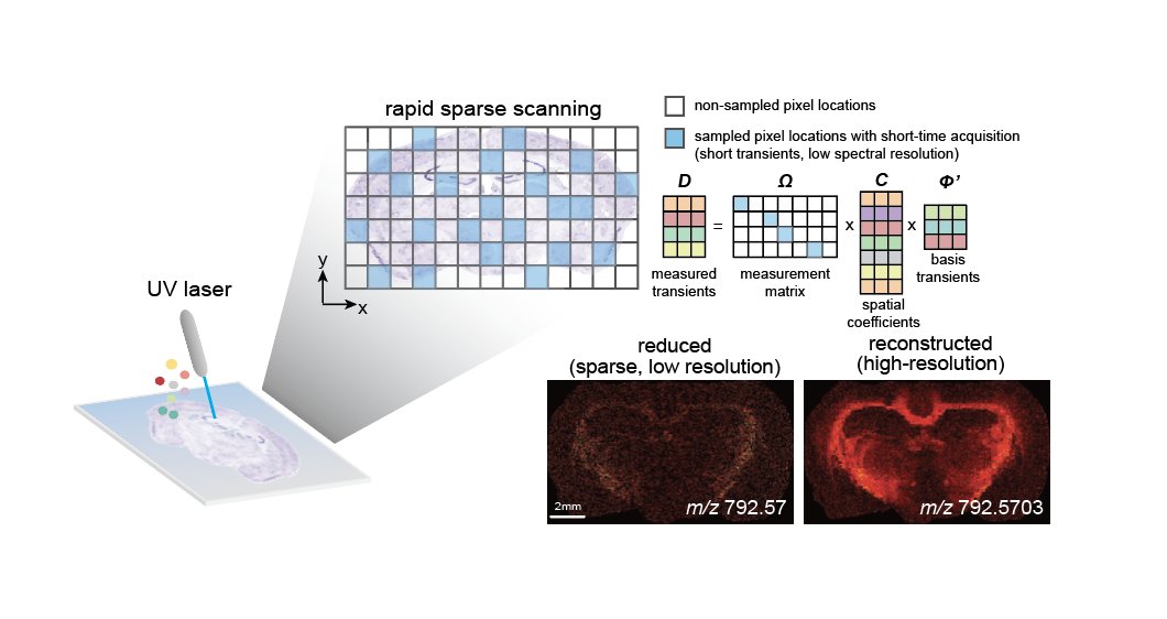 RichardYuxuan's tweet photo. Enhancing the Throughput of FT Mass Spectrometry Imaging Using Compressed Sensing and Subspace Modeling

Check out the preprint @ChemRxiv : https://t.co/EpOxezSzXv

We used CS+subspace modeling to jointly reconstruct high-dim FTMSI data from sparse measurement that's 10x faster. https://t.co/nQeCP05hJK