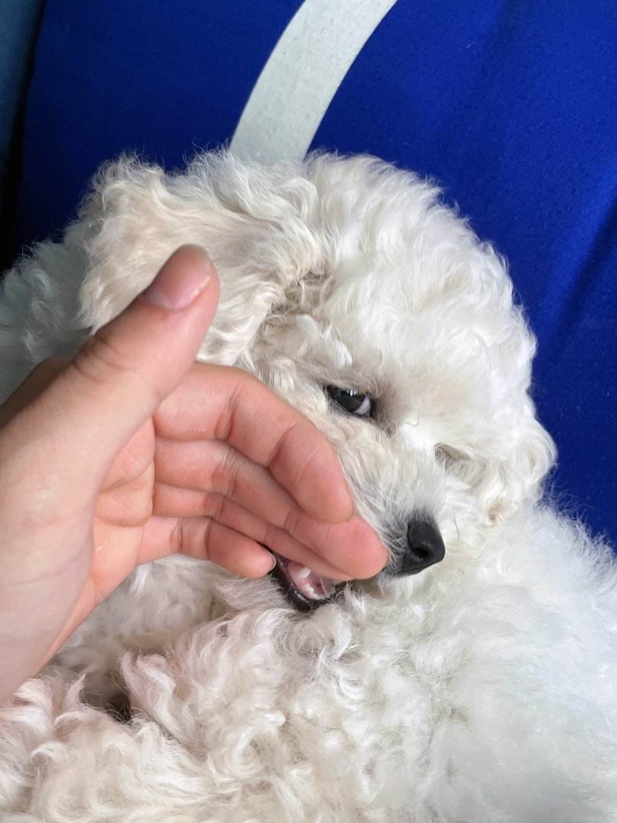 quakksz's tweet photo. 빠마씨... https://t.co/s7s9kjfXlE