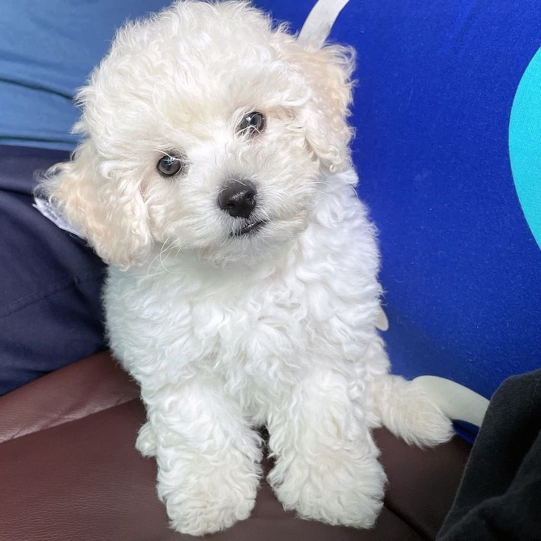 quakksz's tweet photo. 빠마씨... https://t.co/s7s9kjfXlE