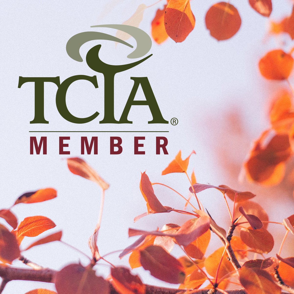 TCIA would like to thank and welcome the new members who joined in September! Check out tcia.org/membership to learn how to grow your business!
#tcia #treecareindustryassociation #treecarebiz #treecareprofessionals #advancingtreecare #weloveourmembers #treecareindustry