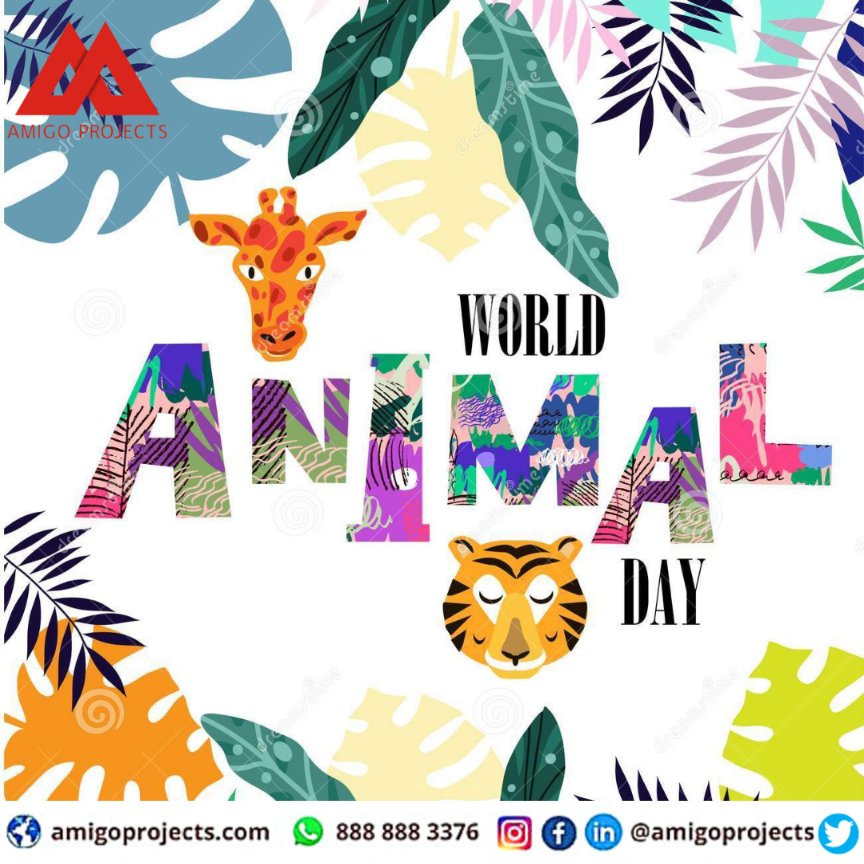 amigoprojects's tweet photo. World Animal Day is an international day of action for animal rights and welfare.The aim is to raise awareness of the treatment of animals and therefore improve welfare standards around the globe, to make this world a better place for all animals.
#amigoprojects #worldanimalday https://t.co/qjS9GNEvbm