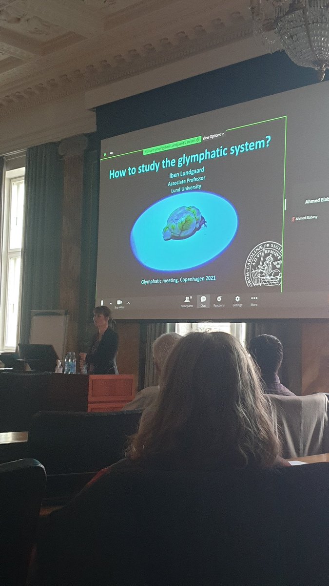 Glymphatic Workshop 2021 at Royal Danish Academy of Science and Letters 🔬🇩🇰

Iben presenting on Good Practice in Studying the glymphatic system 🧠

#glymphatic #conference #2021
