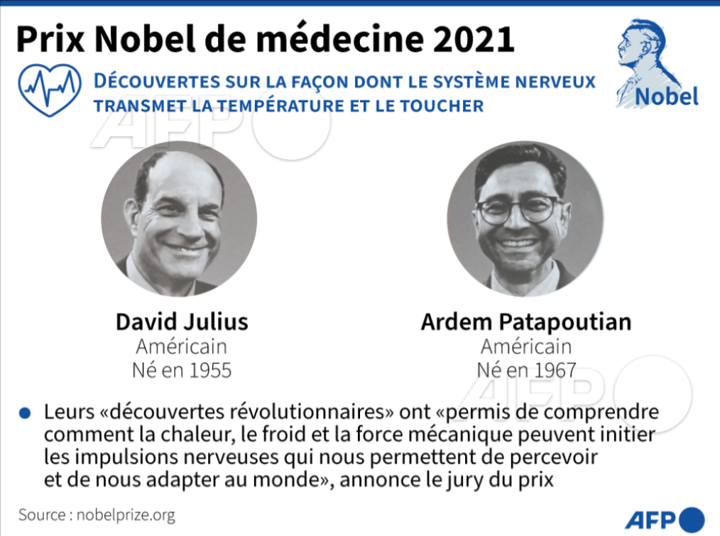 afpfr's tweet photo. Le Nobel de médecine 2021 a sacré l'Américain David Julius et l'Américain d'origine libano-arménienne Ardem Patapoutian, pour leurs découvertes sur la façon dont le système nerveux transmet la température et le toucher #AFP https://t.co/kaRhC4j5ky