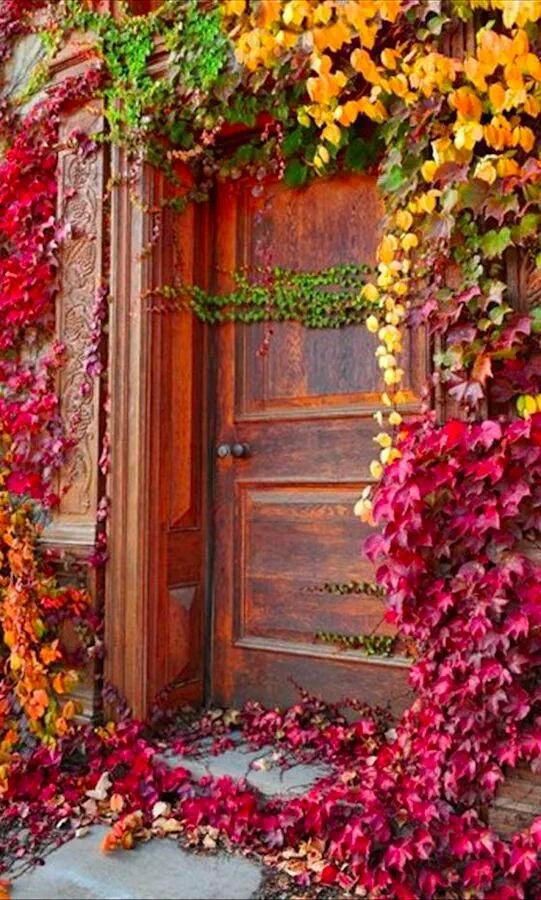 Whose on the door asked Maria ?

Nobody, replied Frank !

I sense someone, may be a lil girl.

He flung open the door &amp; the swirly wind rushed in lifting up all their curtains.

Their beautiful scented lamps went off in a minute.

It was #wind u young lady.Hold your skirt.#vss365