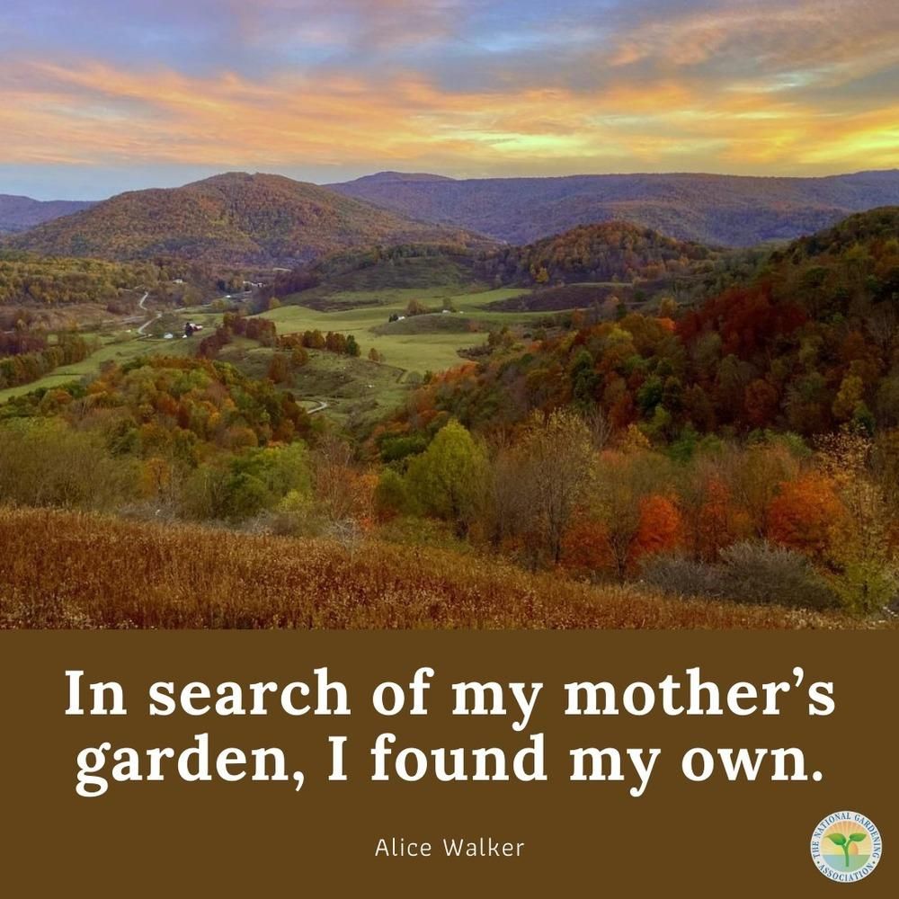 NatlGardening's tweet photo. In search of my mother's garden, I found my own.

#inspirationalquotes #NGA #ModivationMonday #garden #flowers #fyp #explore https://t.co/zEknuuCuoY