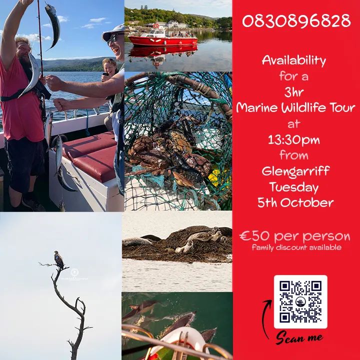 Trips are dependent on weather and numbers onboard.
Availability tomorrow at 13:30pm from Glengarriff for a Marine Wildlife Tour with Fishing. 
.
Bookings to 0830896828 or email bantrybaycharters@gmail.com
.
bantrybaycharters.ie
#visitglengarriff #visitbantry #keepdiscovering