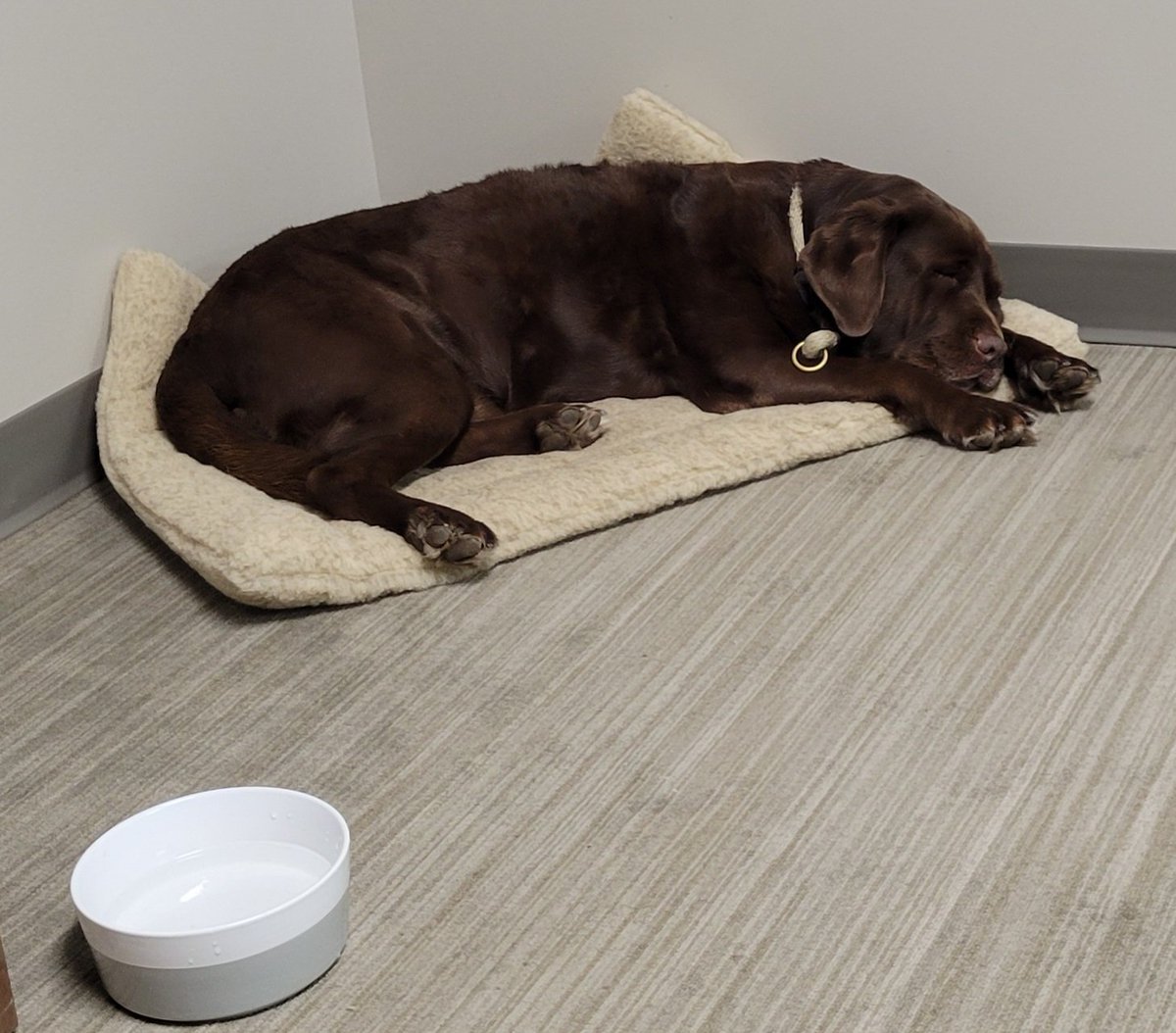 Can barely hear <a href="/SquawkCNBC/">Squawk Box</a> over Harlowe's buzzsawin'.