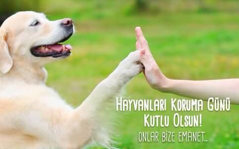 #4EkimHayvanlariKorumaGünü