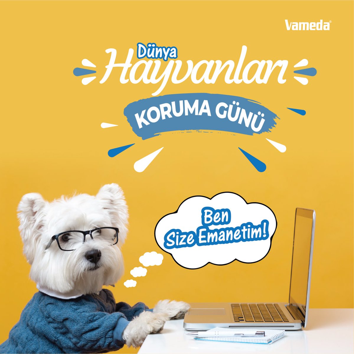 🐱 Onlar Bize Emanet.
.
.
👉 Dünya Hayvanları Koruma Günü
..

#hayvanlarıkorumagunu #hayvanlarıkorumagünü #hayvanlarikorumagünü #hayvanlarikorumagunu #hayvanlarıkoruma #hayvanlarikoruma