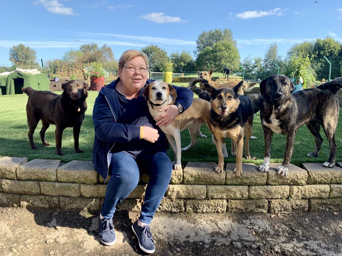 Dogs4Rescue's tweet photo. The children will often talk to Laika about their feelings, giving Dr Paula an access point to then help them. Laika is the best listener & always seems to know the right move. The children look forward to coming to see her & we get to give back to the community 💜 #rescuetherapy https://t.co/dKJ5xJ5Wn0