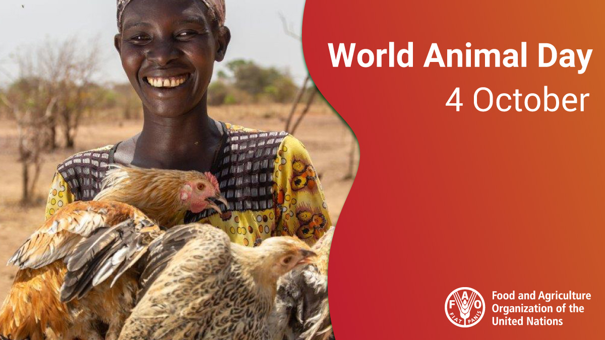 Animals are key to better production, better nutrition, better environment and better life

Happy #WorldAnimalDay!

❤️ 🐮🐖 🐂🐐🦙 🐆🐄 🐪 🐅 🐓