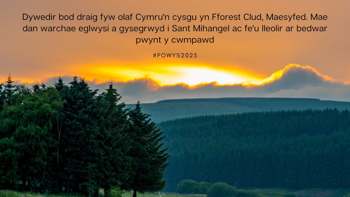 powys2025's tweet photo. Oeddech chi'n gwybod?... Dywedir bod draig fyw olaf Cymru'n cysgu yn Fforest Clud, Maesyfed. Mae dan warchae eglwysi a gysegrwyd i Sant Mihangel ac fe'u lleolir ar bedwar pwynt y cwmpawd 🧭🏴󠁧󠁢󠁷󠁬󠁳󠁿

@DCMS 
#Powys2025 https://t.co/yuQu2C3x0k
