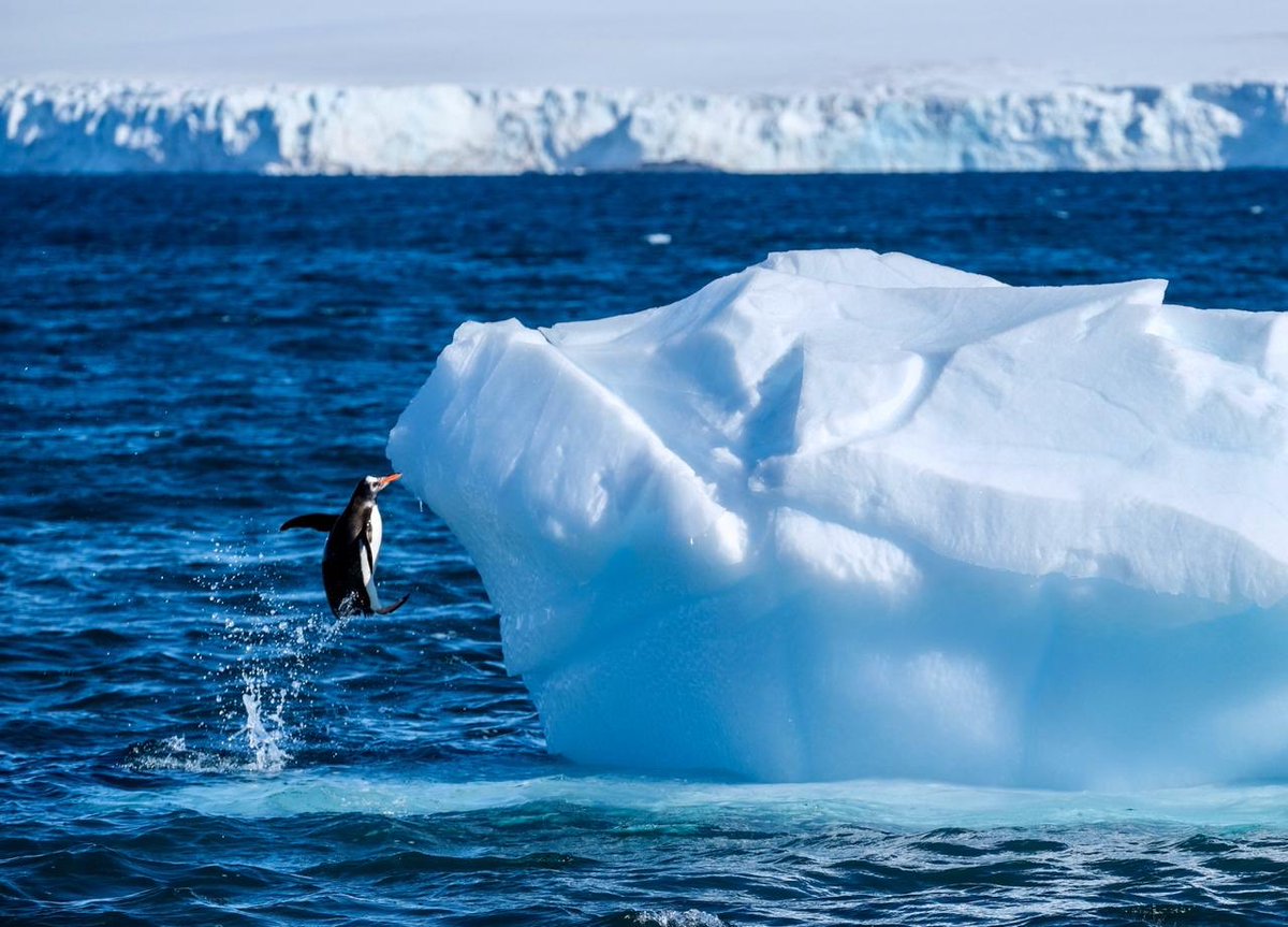 Antarcticacl's tweet image. Hoy se cumplen 30años🥳🎉de firma en Madrid en Oct.4, 1991 del Protocolo de Protección Ambiental de #Antartica❄️q declaró al continente “reserva natural dedicada a la Paz y la Ciencia”. #ProtocoloDeMadrid prohibió además la actividad minera en continente🐧documents.ats.aq/keydocs/vol_1/…