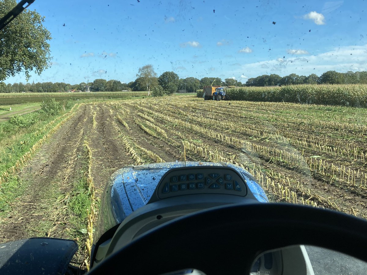 WouterLoof's tweet photo. De tijd van het jaar is weer aangebroken 😀mais mais 🌽💪🏻 https://t.co/FaVvR9MrAm