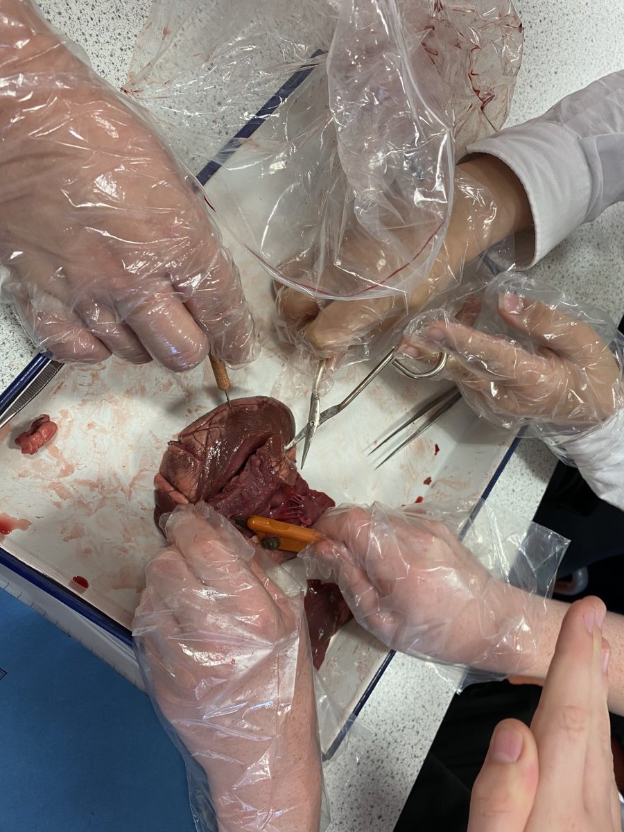 Tynecastle Biology tweet media