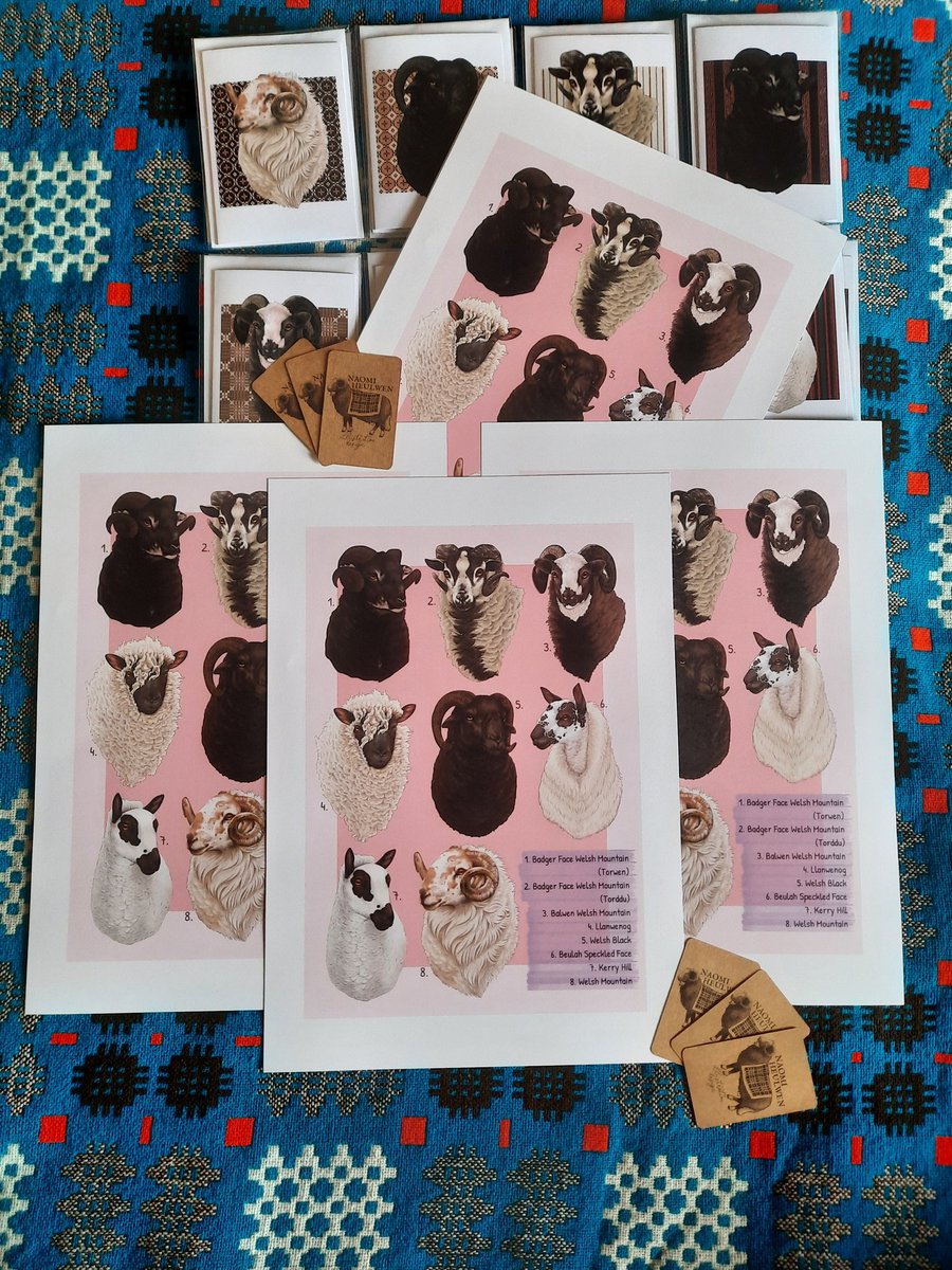 So I heard that it's #WoolWeek 🐑 Here's a little reminder that I have my native Welsh sheep illustrations available on a couple of products! Links in the next tweet. Baa!