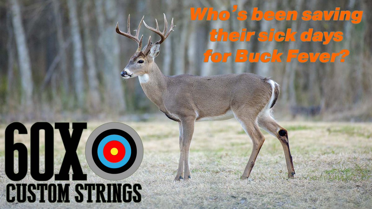 60XCustomString's tweet photo. The best kind of fever to have! π¦
#bow #bowlife #bowhunting #bowseason #huntingbow #bowhuntordie #bowhuntingwhitetails #huntingseason #buckfever #huntinglife #trailcamera #trailcam #deerseason #whitetail #antlerup #huntingislife https://t.co/JpPmwpcXID
