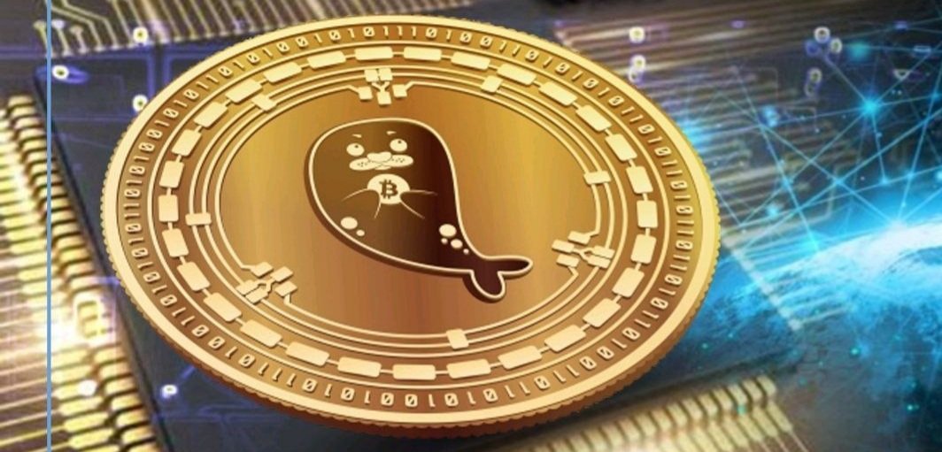NikolayShkilev's tweet photo. Attention for all crypto fans🔥
Upcoming low MCap IDO of @iCWtoken at ~ @ZELWINofficial to DYOR

IDO on 7th Oct 🚀🚀
Apply #IDO #WL of $iCW in 3+ days 🎯
https://t.co/4yRGgAVf97

Max your #WL winning chances by staking max tickets, 1 ticket per 100 $ZLW stake — DYOR

Hurry up! https://t.co/l6ipFfEUlQ