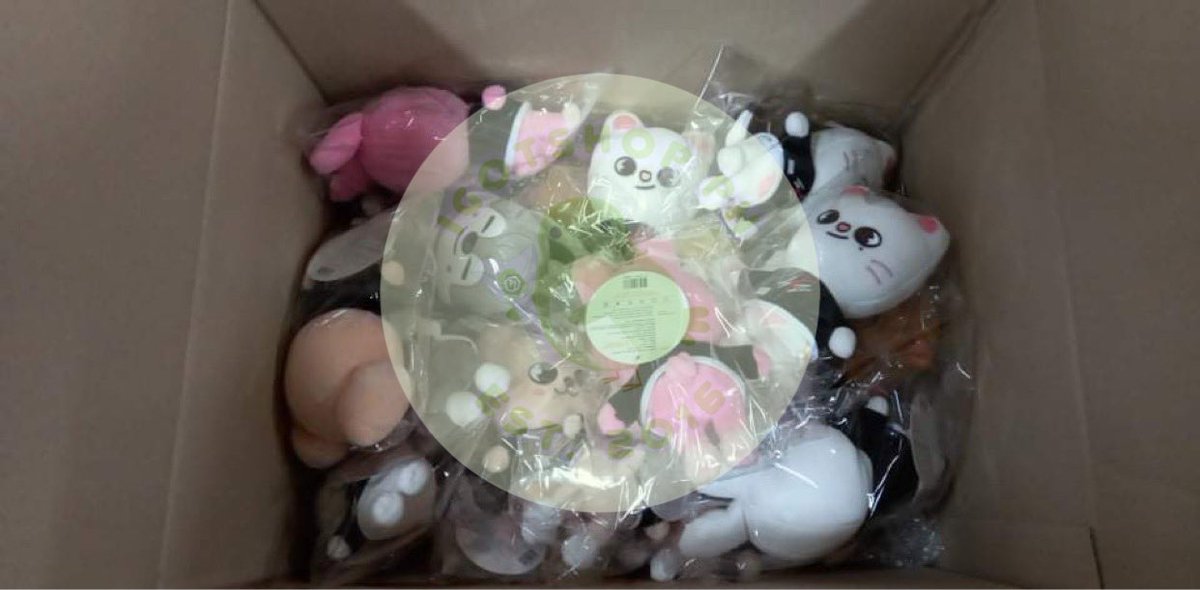 IGOTSHOP_PH's tweet photo. #IGSPHGO
#IGSPHUpdate

SKZOO Plushies have arrived at my KR address! Will just fill up the box before ship out~

ETA: November https://t.co/9bvJxnNXer
