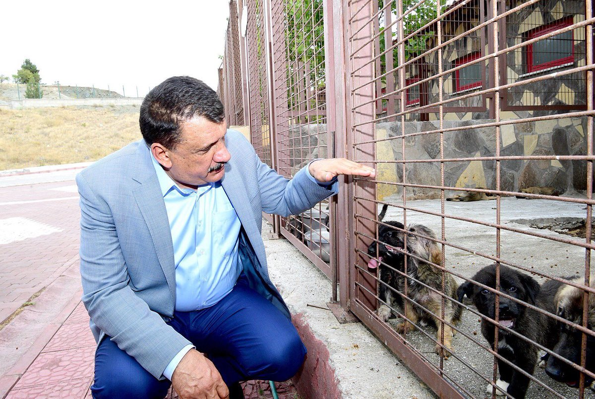 Selahattin Gürkan