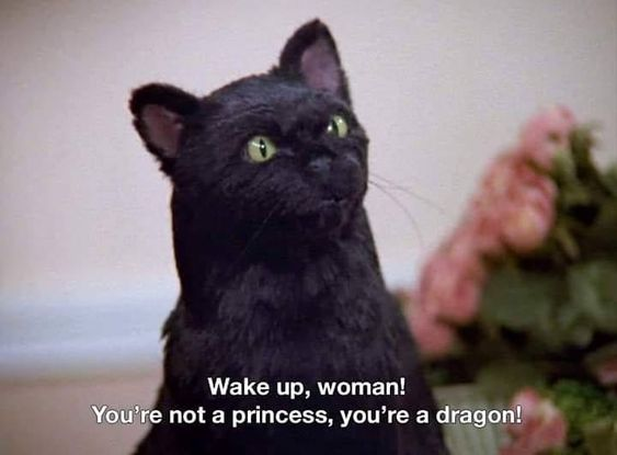 darkmodeChaotic's tweet image. I forgot how much I loved Salem. He had the best lines
#Sourkitty #Bastet #Salem