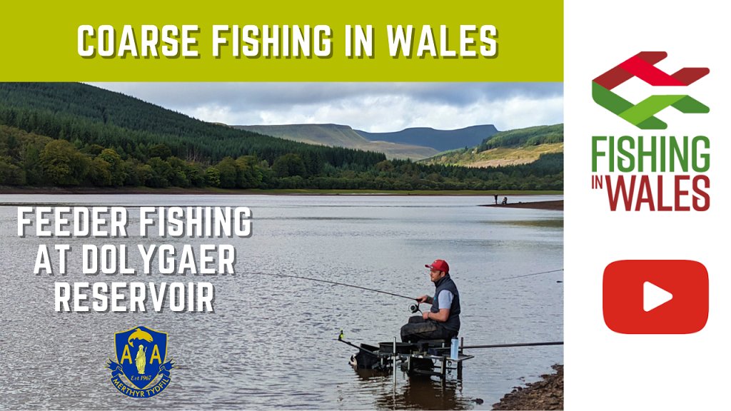 WalesFishing's tweet photo. Wales has some fantastic coarse fishing opportunities!!

In this video we join James Thomas @FishingWelsh &amp; Adam Toomey on the stunning Dolygaer reservoir, where we fish for bream &amp; skimmers using feeder fishing tactics.

https://t.co/net9OGOszo 

#FishingInWales #CoarseFishing https://t.co/5kZrbZIflC