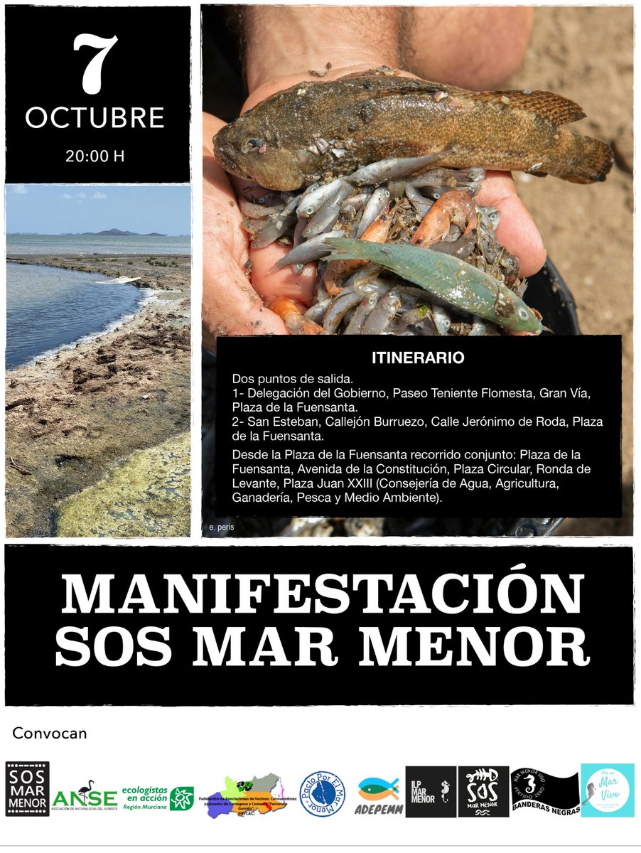 Es urgente que las Administraciones con competencias pongan en marcha medidas de conservación para la recuperación del Mar Menor.
Si quieres unirte a <a href="/WWFespana/">WWF España 🐼</a> y <a href="/asociacionanse/">Anse (cuenta inactiva)</a> en la marcha #MarMenor7octubre nos encontrarás a las 19:45 en Palacio de San Esteban. ¡Pasa la voz!