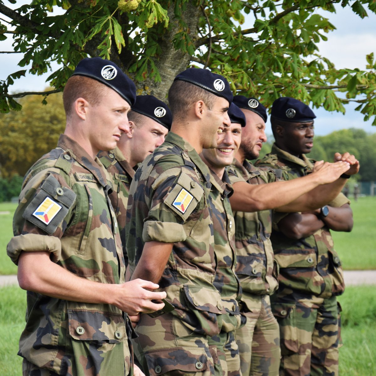 516e régiment du train tweet media