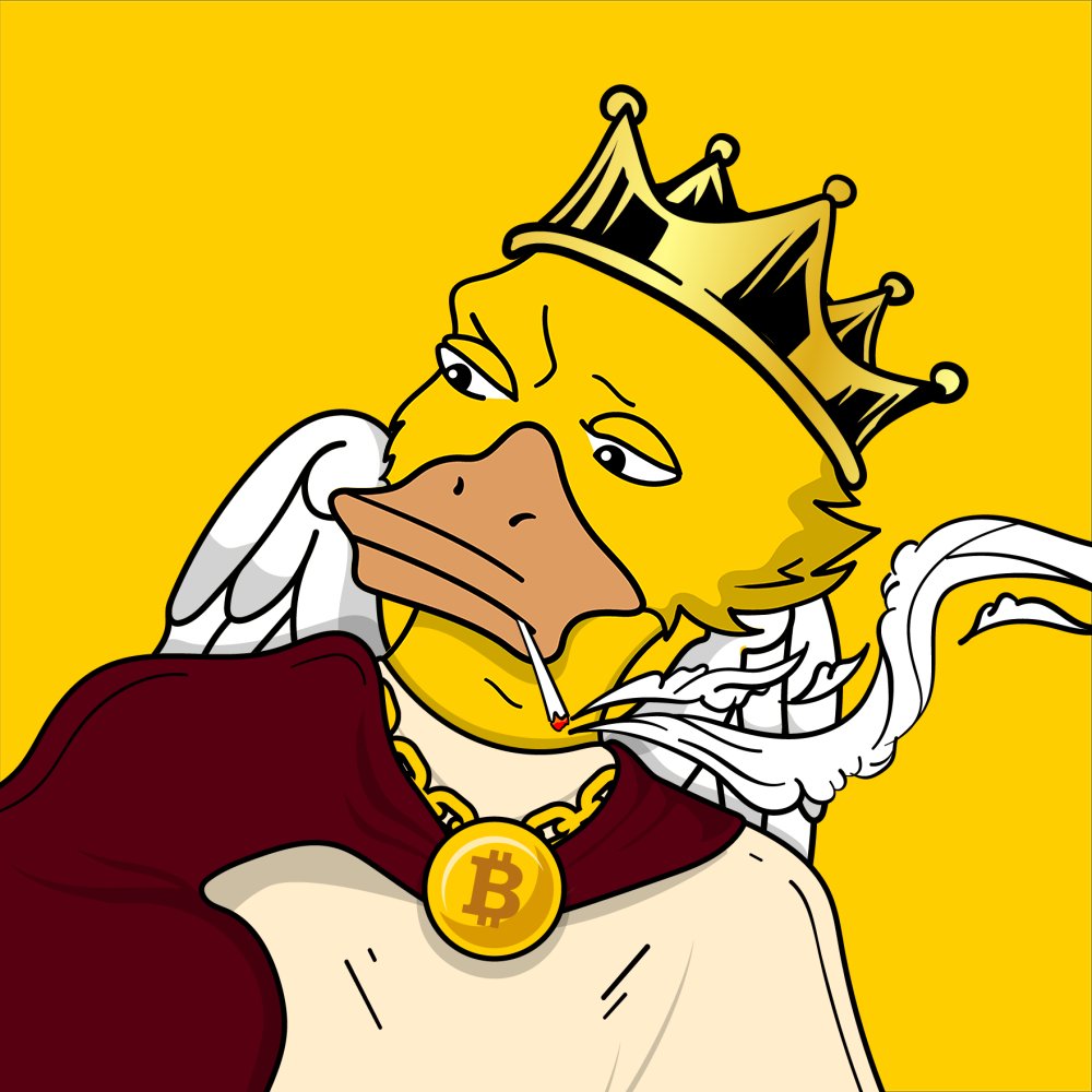 mugsino's tweet photo. 🦆🦆 these duckies lookin more like bulls🐂with how BULLISH this project is. 🧹one up will you can. 🚀@ApexDucks #Solana https://t.co/asLgPOU9pI