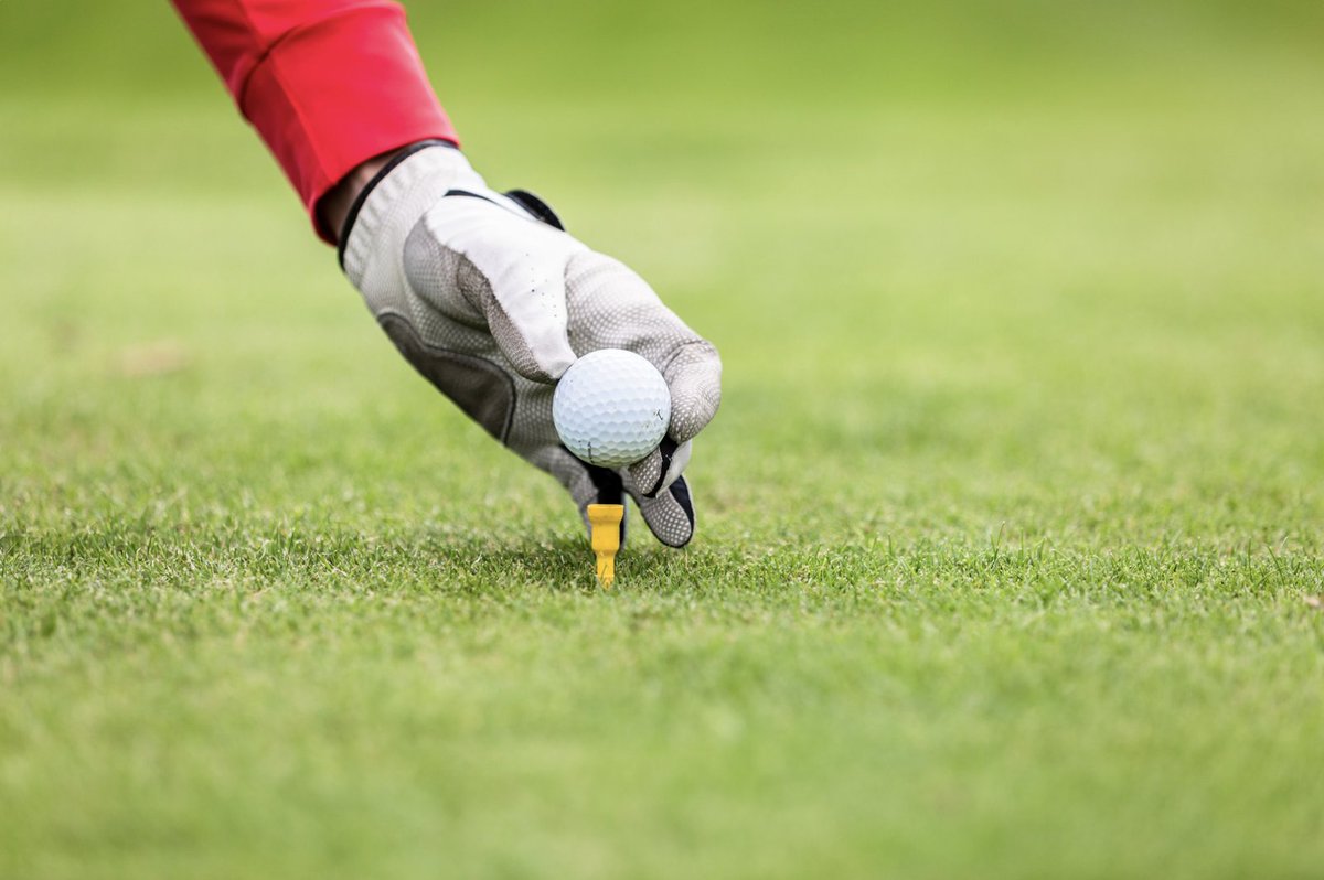 Happy National Golf Lovers Day! Have you teed up yet this fall?

#nationalgolfloversday #SOD #grass #HarmonySOD #HarmonyBrands #HarmonyLawn #Turfgrass #lawn #lawncare #landscaping #grass
