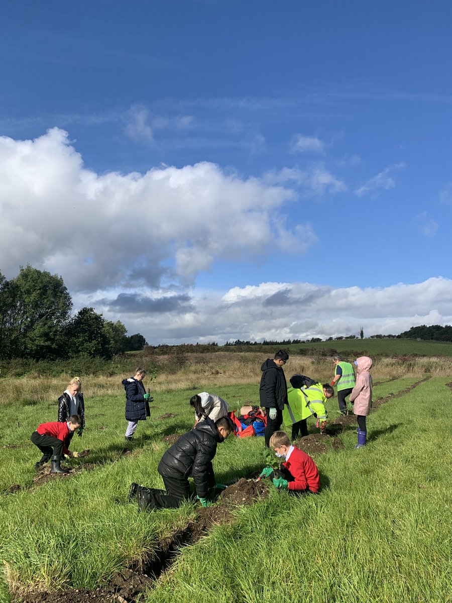 What a lovely sunny morning to make a difference <a href="/CleevesPS/">Cleeves Primary School</a>   <a href="/The_Lost_Woods_/">The Lost Woods</a> #mytreeourfuture