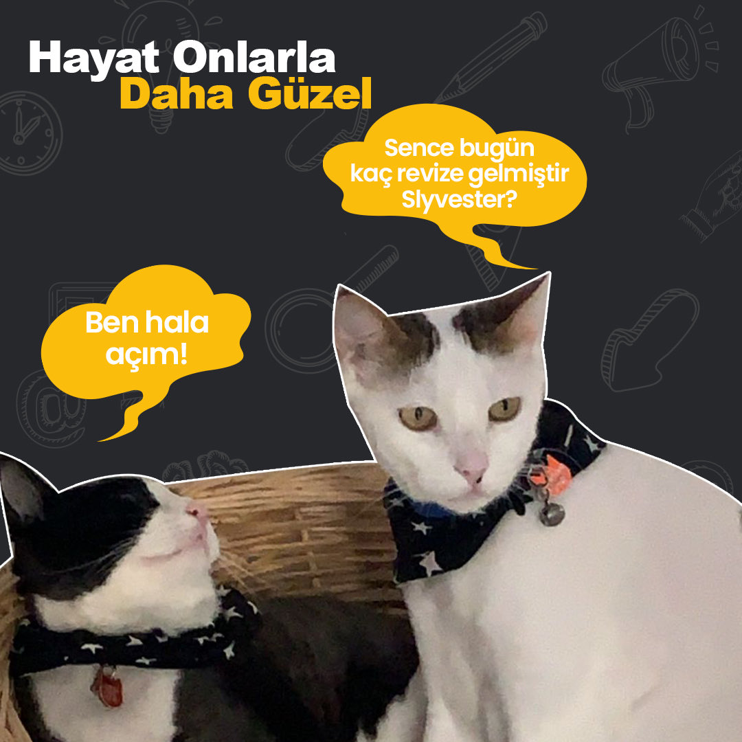 Hayat onlarla güzel…

#4ekimdünyahayvanlarıkorumagünü  #argeart #dijitalreklam #dijitalreklamajansı #socialmedia #dijitalajans #digitalage #sosyalmedya #reklamajansı #izmireklam #izmirreklamajansı #webtasarım #izmirwebtasarım #seo #izmirseo