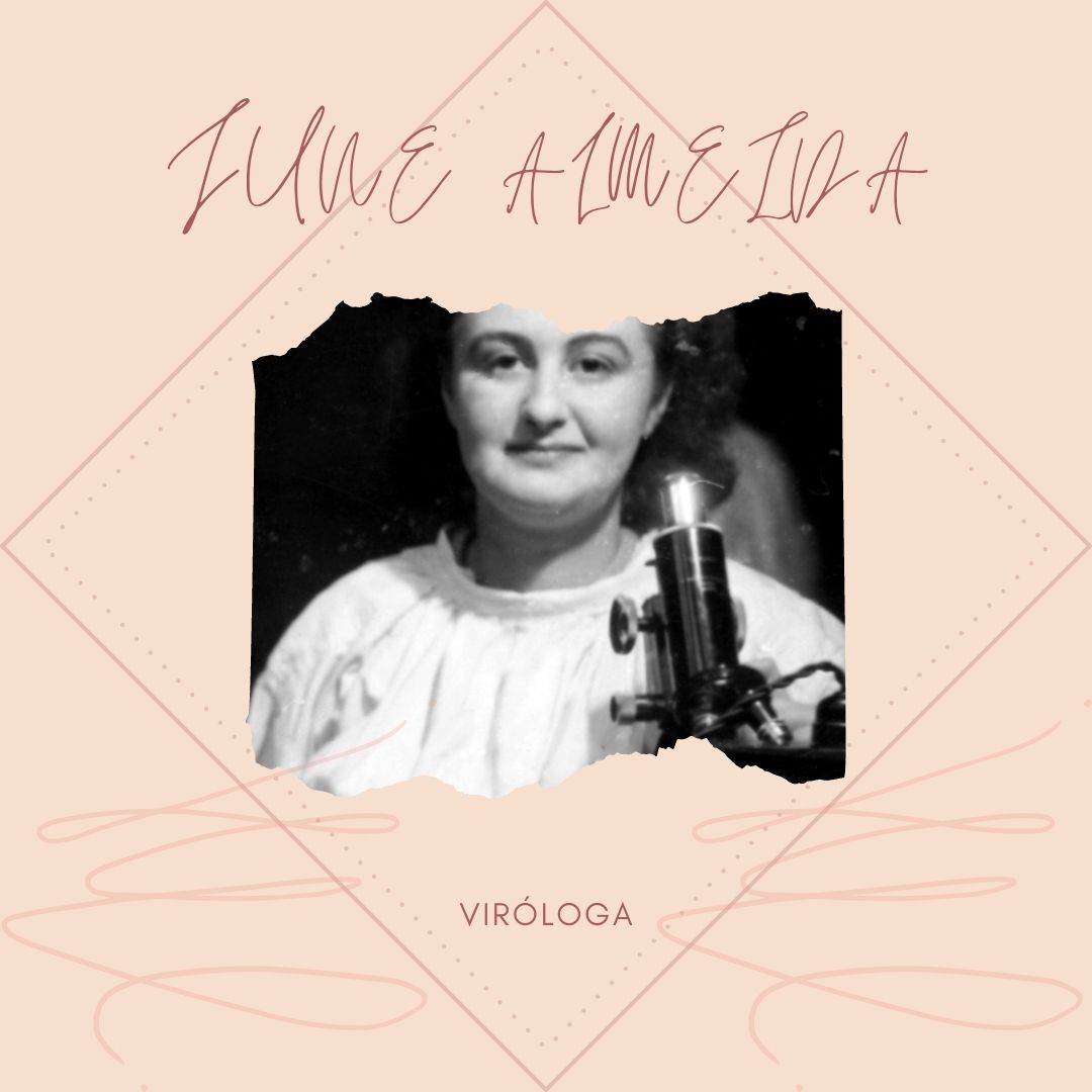 MEclipsadas's tweet photo. #TalDíaComoHoy en 1930 nacía June Almeida, la primera persona en identificar y obtener fotografías de un coronavirus humano. #MujeresEclipsadas

👩‍🔬Sus investigaciones cobraron relevancia en la pandemia del #COVID19.

Conoce más datos sobre ella➡️ https://t.co/fEZYYYfpC1 https://t.co/yWqmzv0RRp