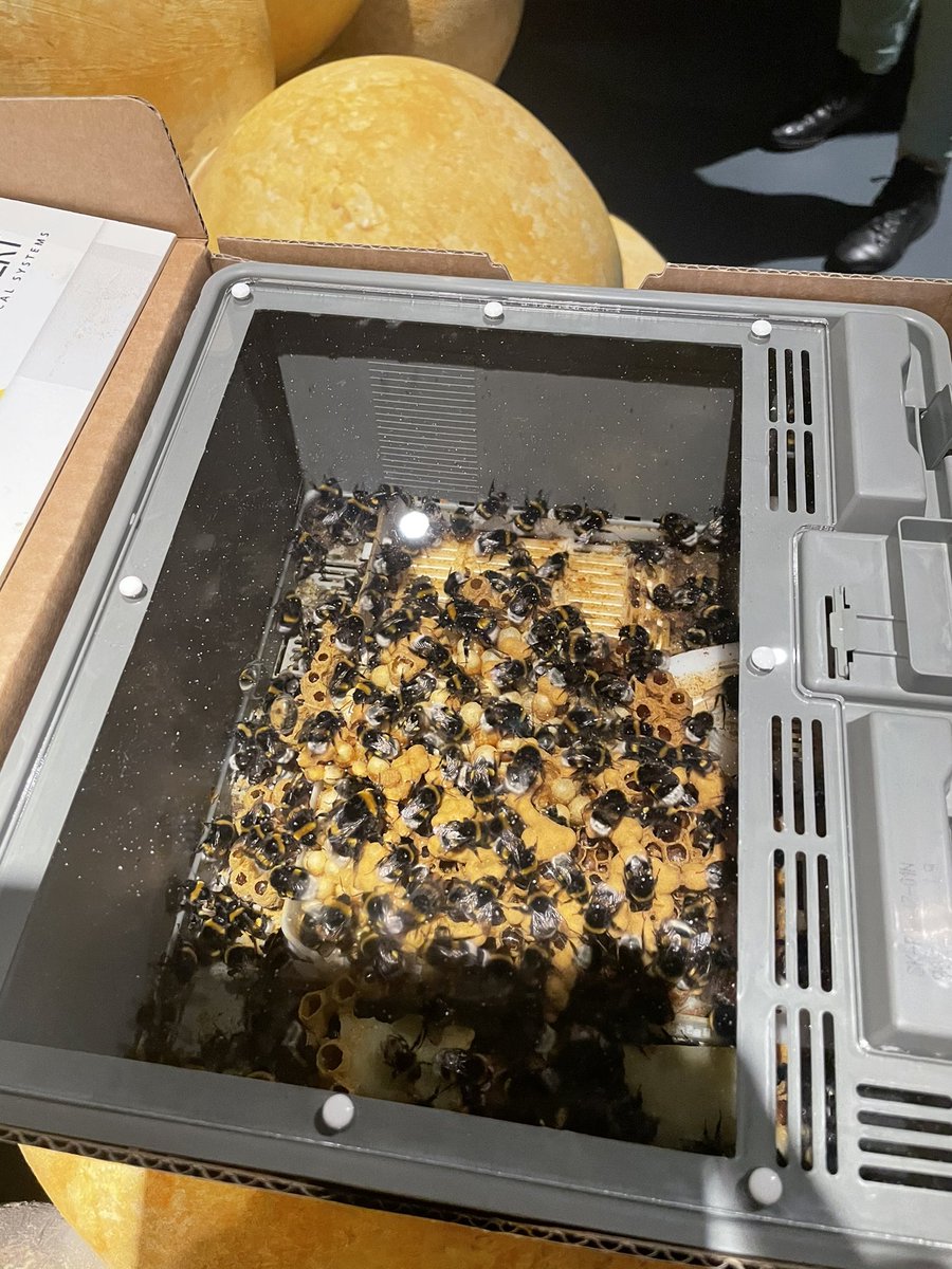 Wat is <a href="/KoppertNL/">Koppert Nederland</a> een prachtig bedrijf! De natuur gebruiken als gewasbeschermingsmiddel. 

Eerder heb ik hier samen met @TjeerdD66 al voor gepleit om deze middelen sneller toe te laten tot de markt.

We blijven de druk erop houden.

Dank <a href="/jwvdenb/">Jan-Willem van den Beukel</a> voor de uitnodiging!

#CDA