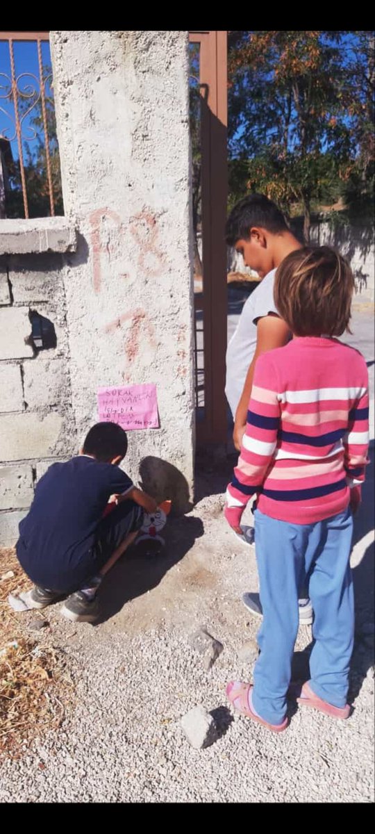 Hayvanların yaşam hakkını ve yaşam alanlarını korumak bizim elimizde. Bugün değil her gün onlara sahip çıkalım ! 4 Ekim Dünya Hayvanları Koruma Günü kutlu olsun.