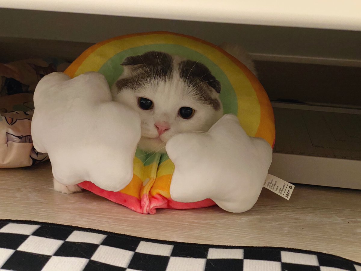 อะไรเอ่ยยย เจอได้หลังฝนตก 🌈  คัยตอบกบหรืออึ่งอ่างขอยาดไม่คุยด้วย