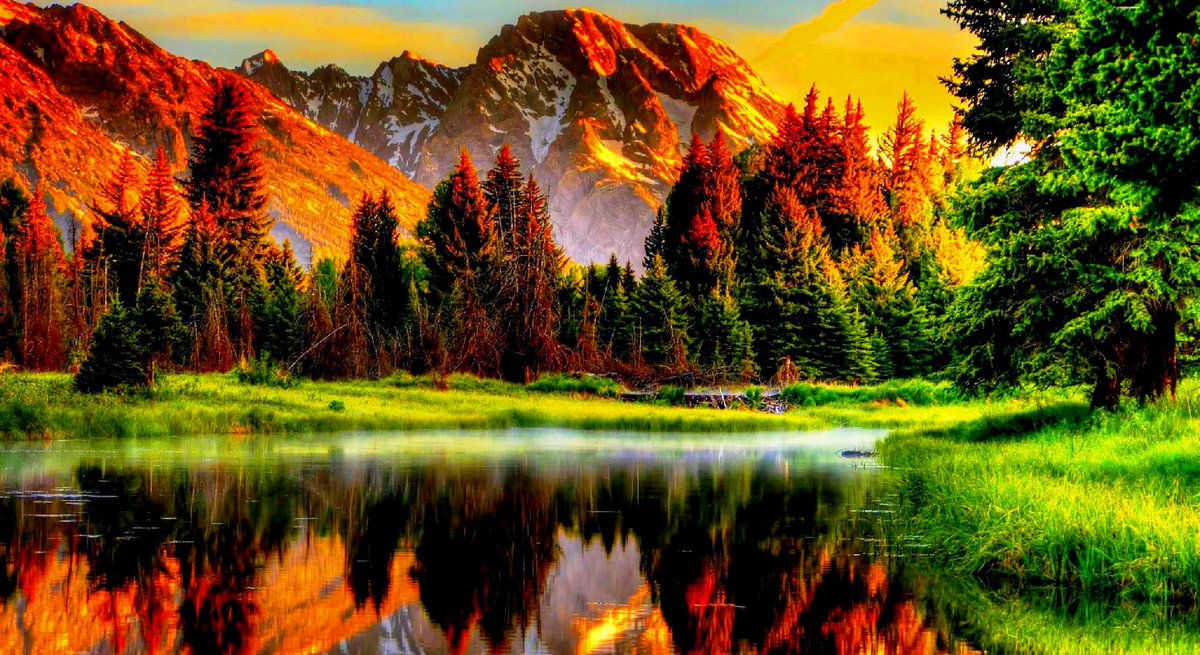 LoveSongs4Peace's tweet photo. " Nature's awesomeness " https://t.co/jxoC8uBJgz
