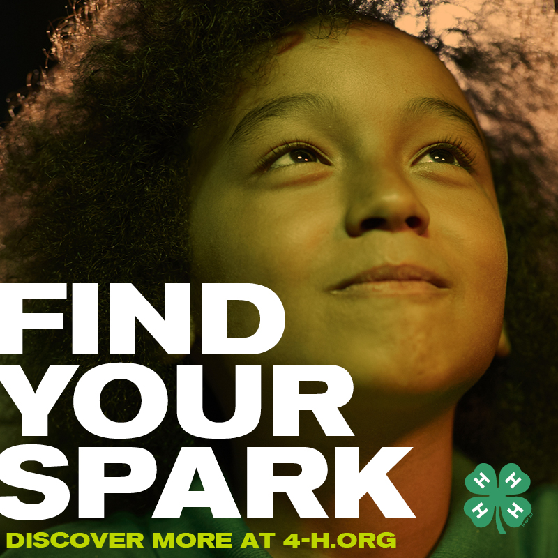 southcarolina4h's tweet photo. Happy #National4HWeek South Carolina! Let us know how #SC4H helped you find your spark below. 🍀
#Opportunity4All https://t.co/lbpevNLvbk