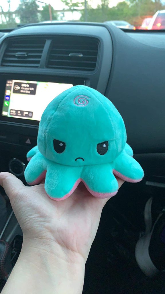 sydneyT5601's tweet image. I've always wanted one so I got one finally at BAM (Books A Million) yesterday too. Along with a Pusheen! #flippable #pusheen