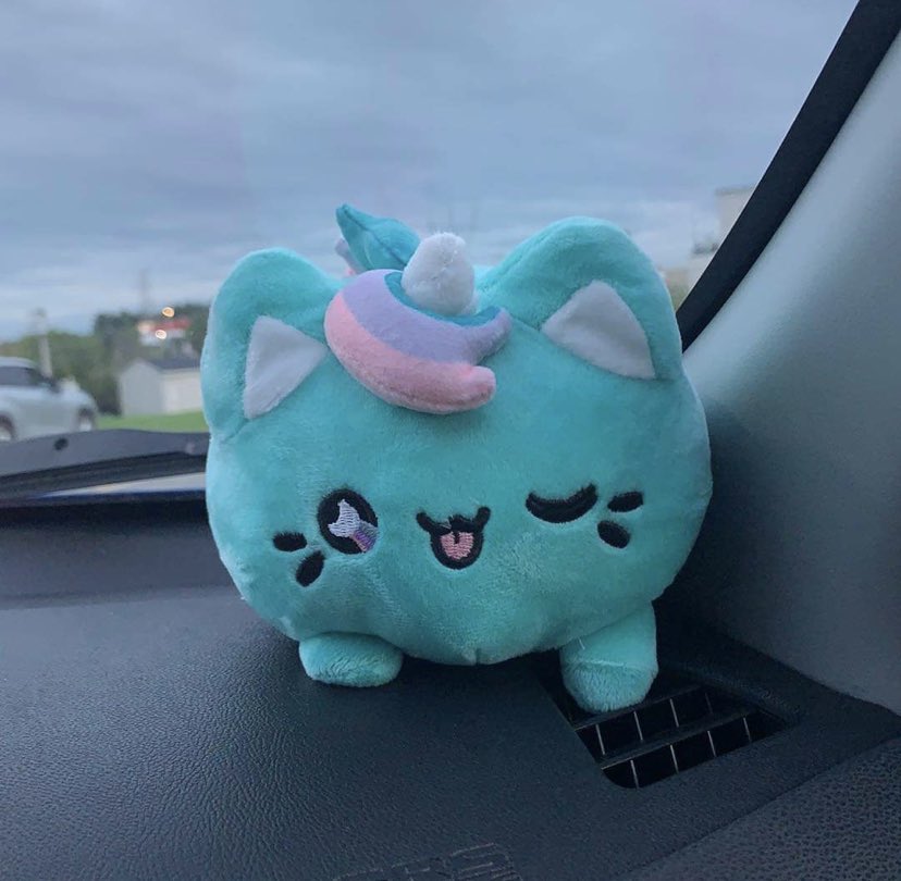 sydneyT5601's tweet image. I've always wanted one so I got one finally at BAM (Books A Million) yesterday too. Along with a Pusheen! #flippable #pusheen