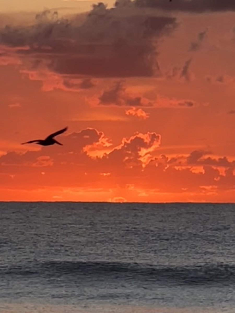DonnaDeegan's tweet photo. Flying in with some #MondayMotivation #grateful https://t.co/axboVFLGld