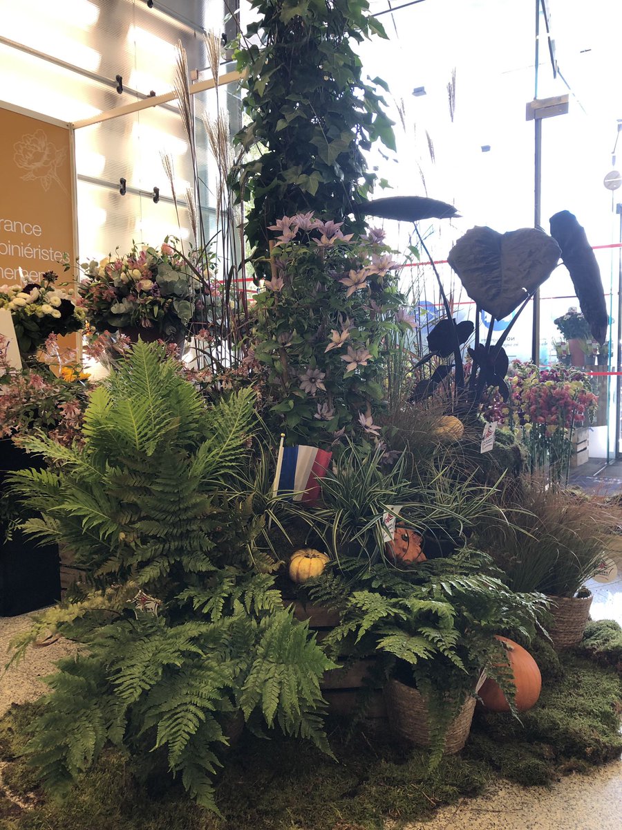 qualiteplantes's tweet photo. #excellencevegetale a accueilli sur son stand #Novafleur une battle hors norme : celle du président de la #FFAF et de la #FGFP. 

Voici le résultat ! https://t.co/Zd0POttWpf