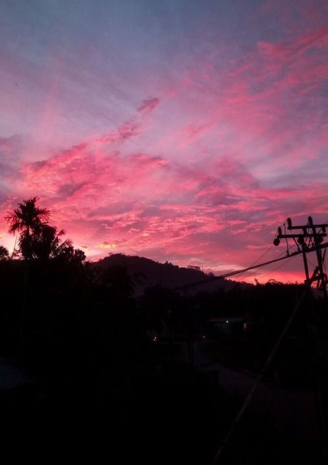 simrang52001's tweet photo. So , the sky is pink 💖 https://t.co/2layZzNWz7