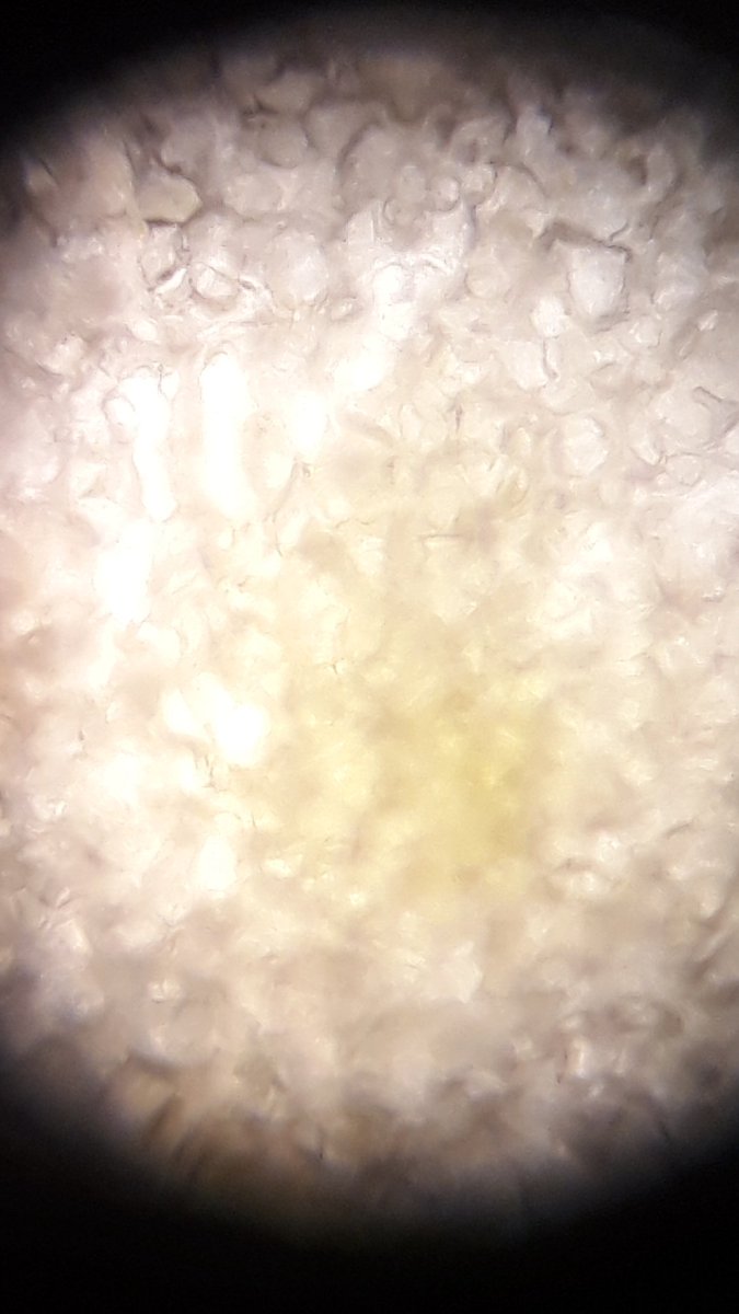 10 fen tek sınıfı ile genel hücre yapılarını inceledik.