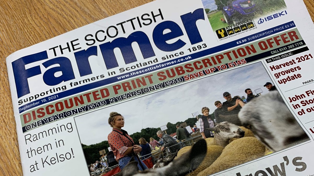 Westmorland Show tweet media