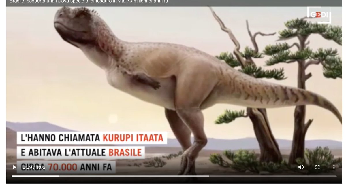 Luigi Dell'Aquila tweet media