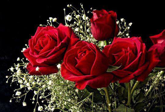 بحراٰله۟وۥىۧے tweet media