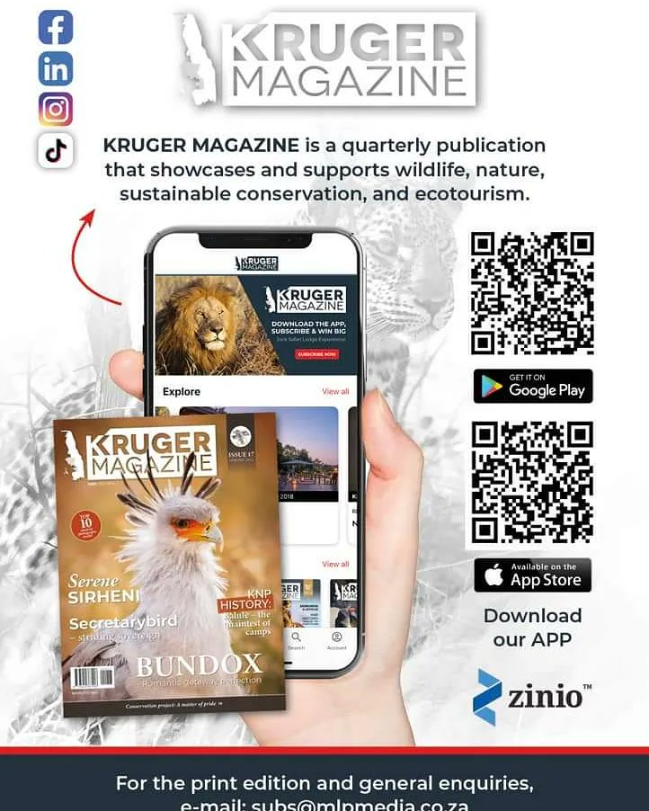MagazineKruger's tweet photo. @kruger_magazine https://t.co/5TXRhvnCwd