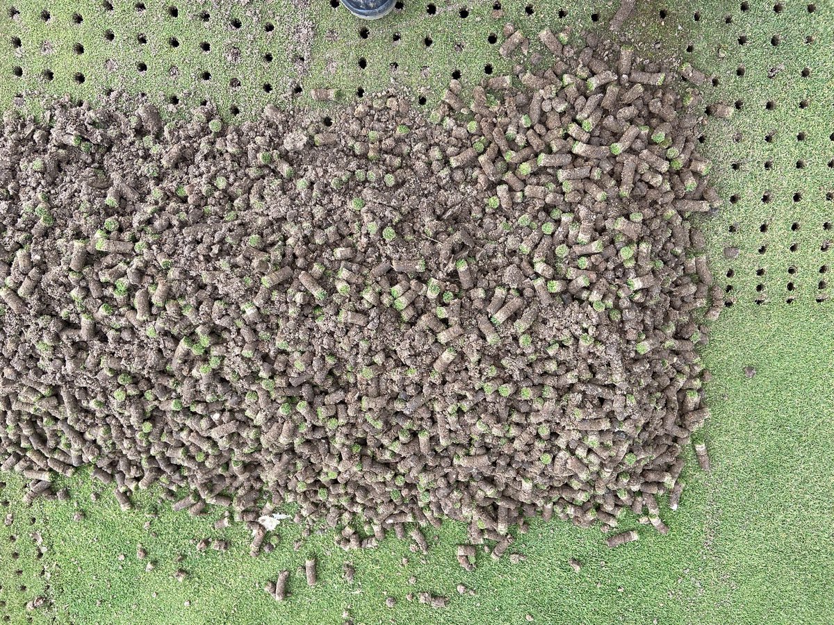 ADuncan78409012's tweet image. Greens Reno’s part one today. Boys worked their socks off and the volunteers were awesome. 10 greens down and a big push tomorrow to get them finished off with a final brush before some Graden CSI work..💪⛳️